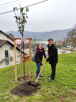 Rožnati oktober (7)